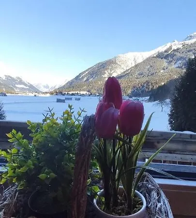 Lechtaler Alpen アパート バッハ