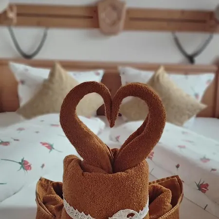 Lechtaler Alpen アパート *